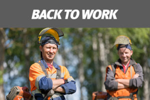 Back to Work Regional Employer Support Payments Back to Work Regional Employer Support Payments