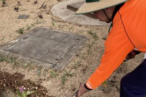 Stay-at-home Father Pursues his Passion for Horticulture Stay-at-home Father Pursues his Passion for Horticulture