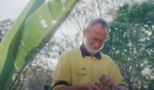 Groundsman working in garden